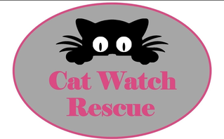 Cat Watch Rescue Shelter