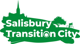 Salisbury Transition City